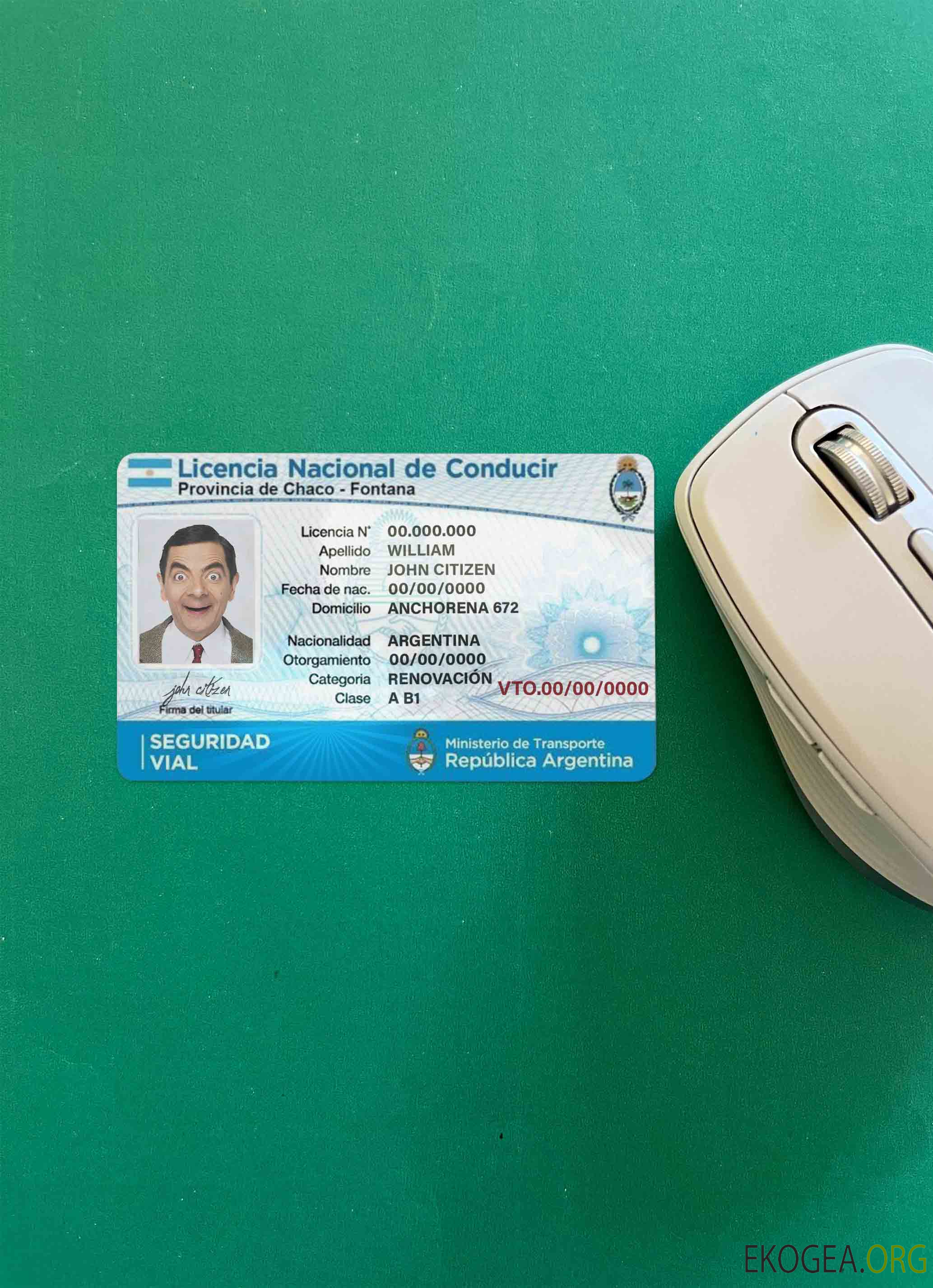 Argentine DL photolook AVANT template Argentine DL photolook AVANT template